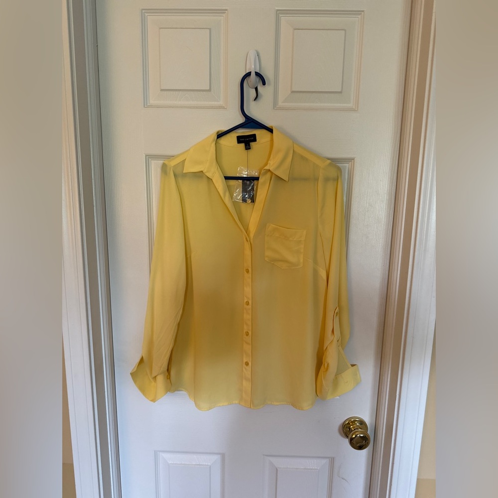The limited blouse